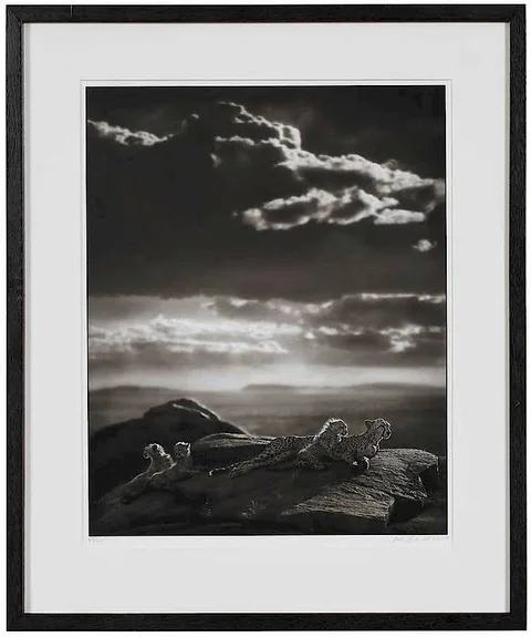 Nick Brandt, Cheetah and Cubs Lying on Rock, Serengeti, 2007, archival pigment print