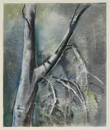 Forked Tree, Brunk Auctions 2019