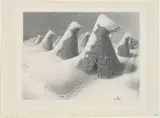 Grant Wood, January