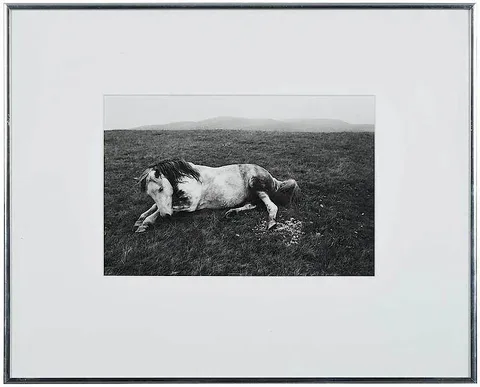 Bruce Davidson, The Welsh Pony, 1965, gelatin silver print