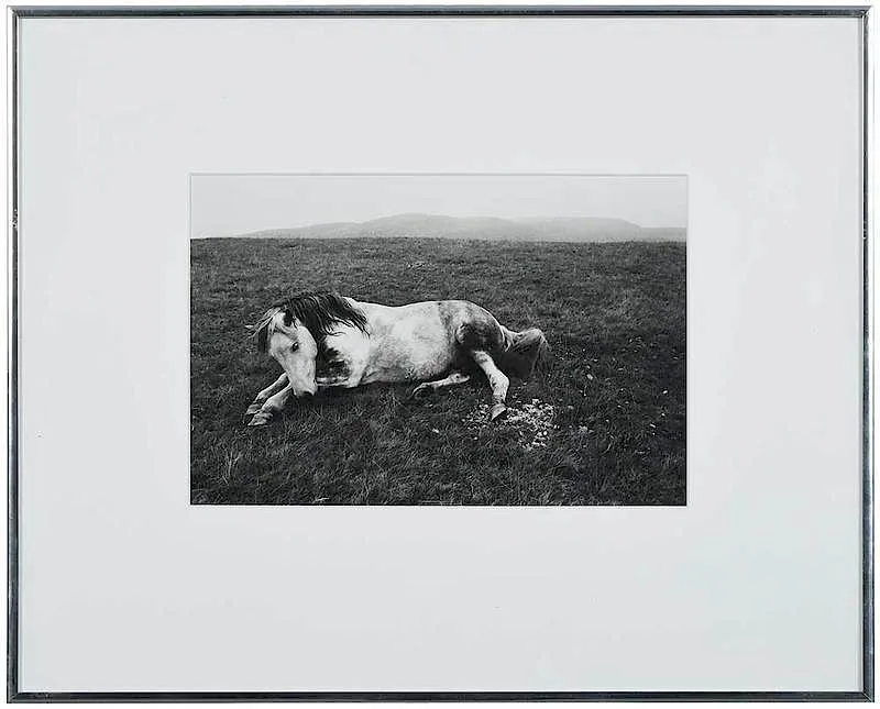 The Welsh Pony by Bruce Davidson, 1965, gelatin silver print, sold Jun 2019