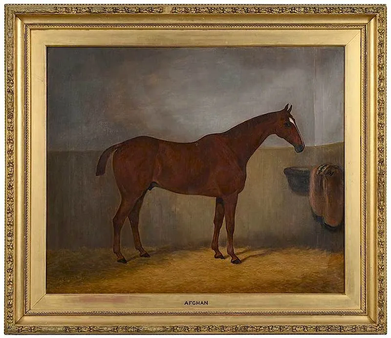 F. Clifton, Afghan, in a loose box, oil on canvas