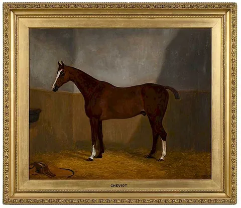 F. Clifton, Cheviot, in a loose box, oil on canvas