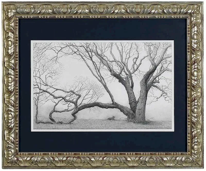 Charles Brindley, Majestic Elm Tree at 109 Lynnwood Terrace, pencil on paper