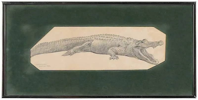Alligator by Charles R. Knight, graphite on board, sold Mar 2019