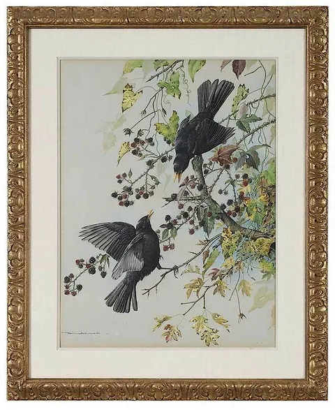 Basil Rashley Ede, Blackbirds in Blackberry Bramble, watercolor and gouache on blue paper