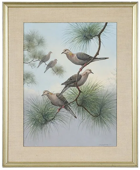 Morning Doves on Pine Bows by Owen J. Gromme, 1963, oil on canvas, sold Jul 2018