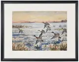 John Whorf, Mallards