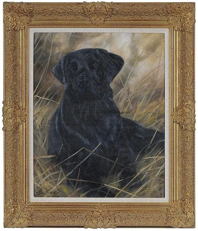Labrador Retriever by John Trickett, oil on canvas, sold May 2018