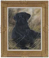 John Trickett, Labrador Retriever