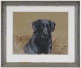 Reuben Ward Binks, Banchory Corbie