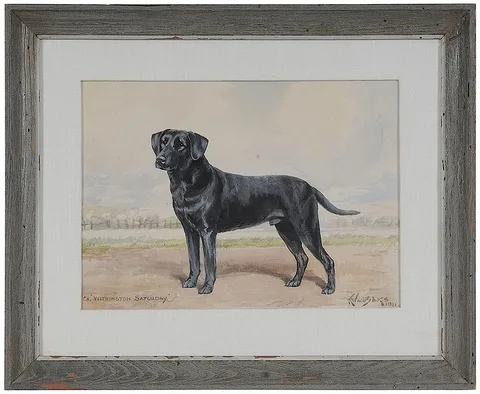 Reuben Ward Binks, The Labrador Retriever Ch. Withington Saturday, watercolor and gouache on cream paper