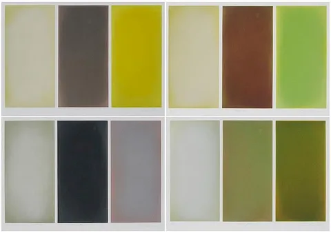 Anne Appleby, Four impressions: Autumn Aspen, Winter Aspen, Spring Aspen, Summer Aspen, 2000, aquatint with burnishing on paper