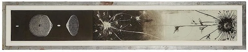 Eavesdrop by Judy Pfaff, 1996, color etching on Crown Kozo paper, sold May 2018