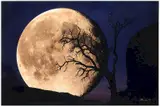 Peter Lik, Bella Luna, Kodachrome Basin State Park, Utah