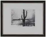 Pentti Sammallahti, Helsinki, Finland 2002