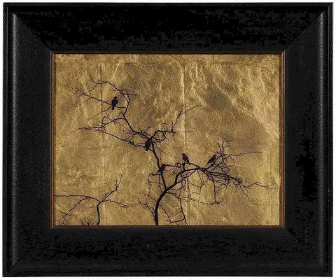Kate Breakey, Five Birds in a Tree, archival pigment ink on glass