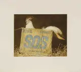 Jamie Wyeth, S.O.S.