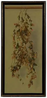 Dried Hops, Brunk Auctions 2017