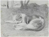 George Luks, Study of a Cat