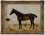 George Paice, Bay Horse in Loose Box