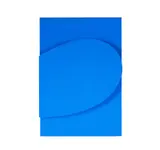 Ellsworth Kelly, Blue on Blue