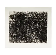 Terry Winters, Untitled (from Doctors of the World), 2001, digital print on paper
