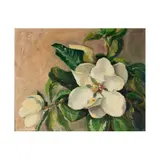 Helena Traeger Batchelder, Magnolia Blossoms, oil on canvas