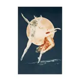 Gatja Helgart Rothe, Moon Dance II, mezzotint