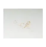 John Lennon, Yoko Ono (Bag One), 1969, lithograph from the
