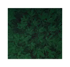 Alix Aidekman, Untitled, 2017, acrylic on canvas
