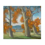 Ralph William Holmes, Oak Trees