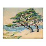 Margret Munro Stratton, Along the 17 Mile-Drive, oil on canvas board