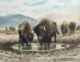Donald M. Yena, Buffalo Times, watercolor on paper