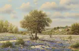 William Robert Thrasher, Texas Hill Country Landscape with Bluebonnets, oil on canvas