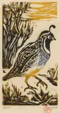 Nellie Buel, Quail, woodcut in colors on paper
