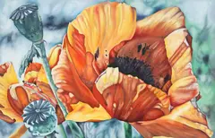 Judith Lynn Moore, Orange Poppy, Gallery-wrapped oil on canvas
