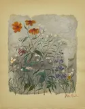 Ben Shahn, The Gestures of the Little Flowers, lithograph in colors on paper