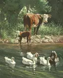 Wayne Baize, New Neighbors