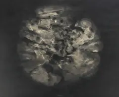 Gibbs Milliken, Stone Sphere, charcoal drawing on paper