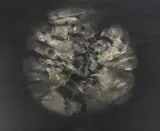 Gibbs Milliken, Stone Sphere, charcoal drawing on paper