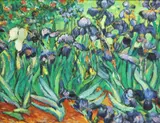 Vincent van Gogh, Irises, oil on canvas