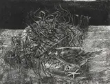 Kelly Fearing, Large Bird in Passage Guarding, direct polymer gravure on paper