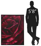 Aaron Filmore, Pink Rose, Large framed oil on canvas