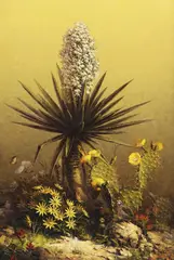 Dalhart Windberg, Blooms Amid Thorns, oil on canvas