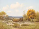 Porfirio Salinas, Early Autumn in the Hill Country