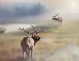 Vivi K. Crandall, Morning Glory, oil on canvas wildlife