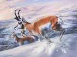 Vivi K. Crandall, Alive & Kicking, oil on canvas