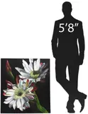 Joshua Johnson, 15, oil on canvas