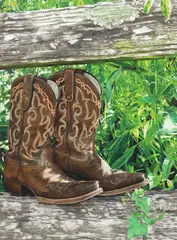 Morgan Platt, Texas Boots/ Southern Simplicity, Prismacolor colored pencil drawing on Canson paper